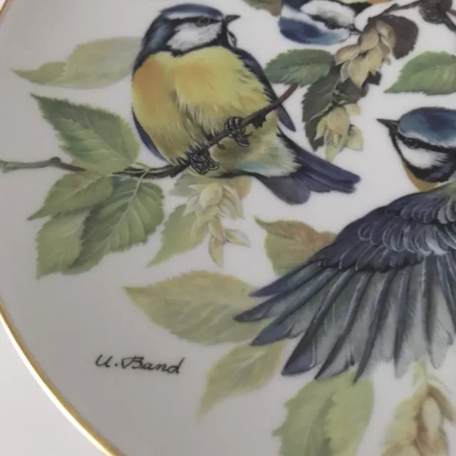 WWF Blue Tit Bird Collectors Plate By Ursula Band Songbirds Of Europe 1985 3