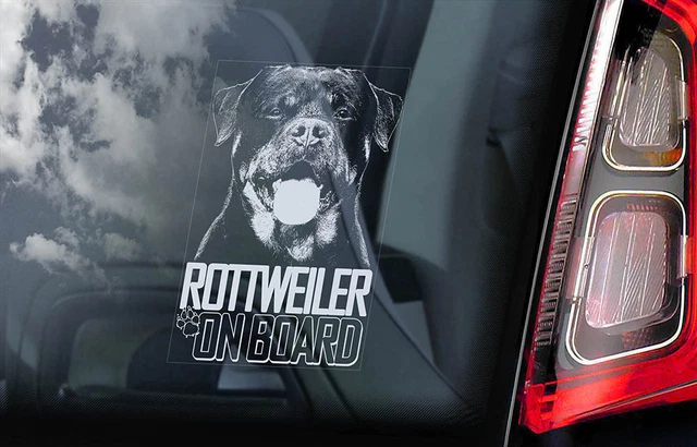 Jack Russel Terrier Car Sticker - Dog On Board Bumper Window - Foto 2