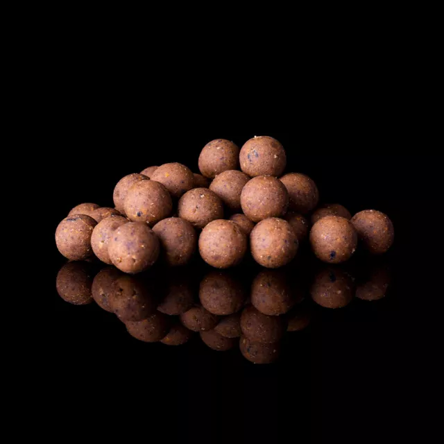 DNA BAITS 1Kg THE BUG 15 mm Shelf Life Bottom Baits Carp Fishing Boilies