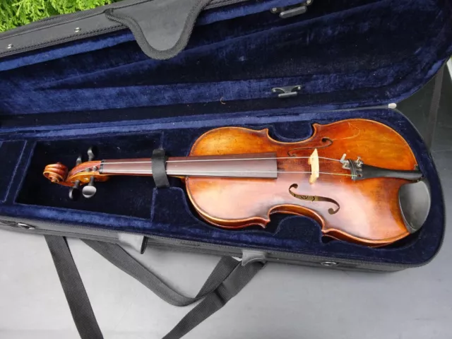 Alte Geige Violine Full Size  Zettel Markneukirchen ca. 60,5 cm ( 52 )