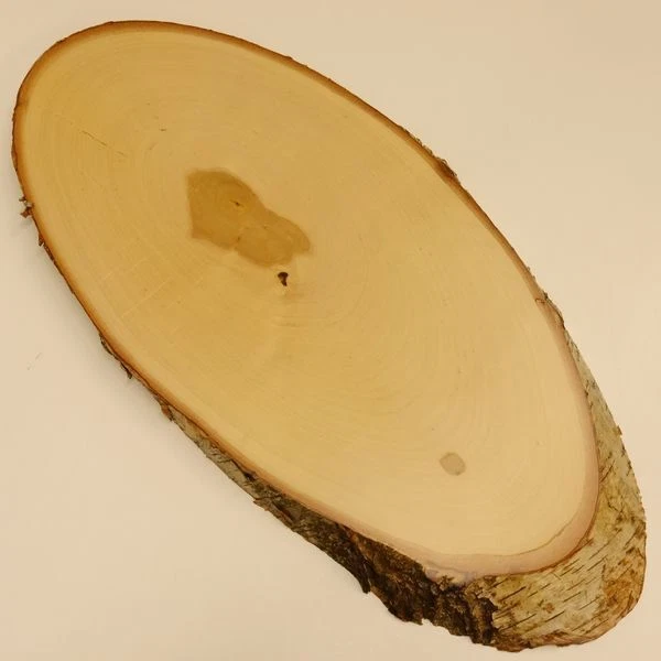 Abedul Ciervo AF37cm Placa Escudo de Trofeo Cornamenta Baumschild Natural Madera