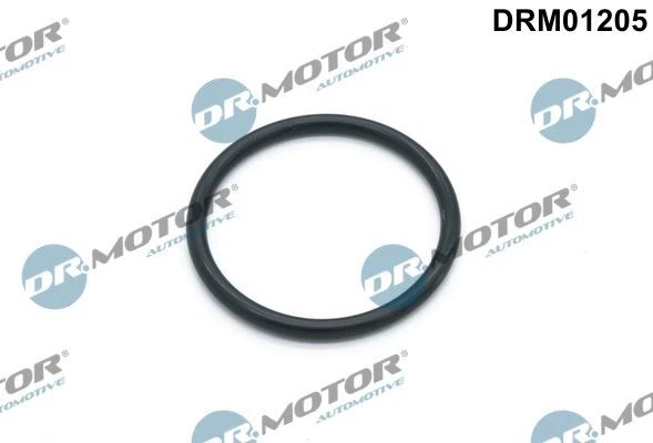 Guarnizione pompa acqua Dr.motor Automotive Drm01205 per BMW E30 E36 E46 E34 87-06