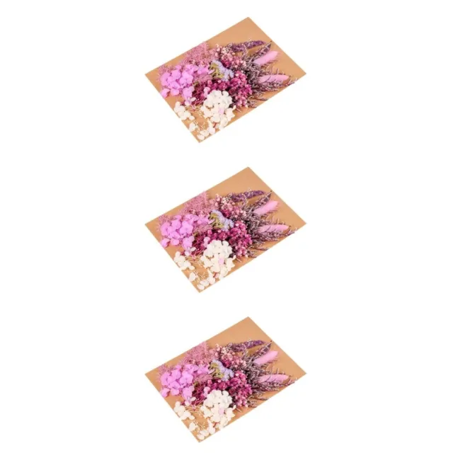 3 bolsas flores secas decoración de uñas artesanía de resina sintética