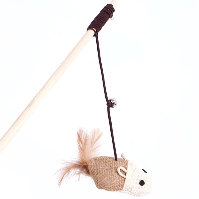 Chat Jouet Fournitures De Jouets Pour Animaux Compagnie Chatons
