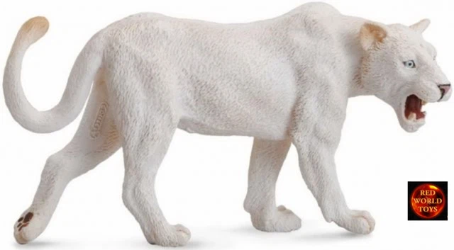 Ivory-billed Woodpecker In A Forest On - Foto 6