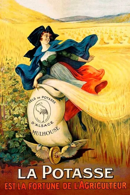 Poster Manifesto Locandina Pubblicità Stampa Vintage Fertilizzante Francese