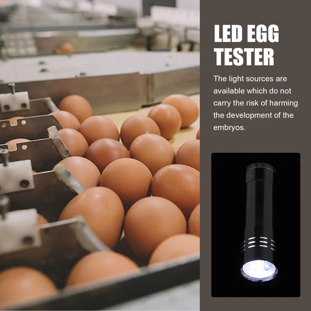 1pc Led Egg Candler Egg Candler Lampe Mirage des oeufs Machine 8