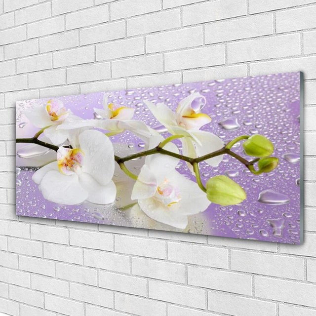 Tulup Tableau murale Impression sous verre 125x50 Montagnes Prairie