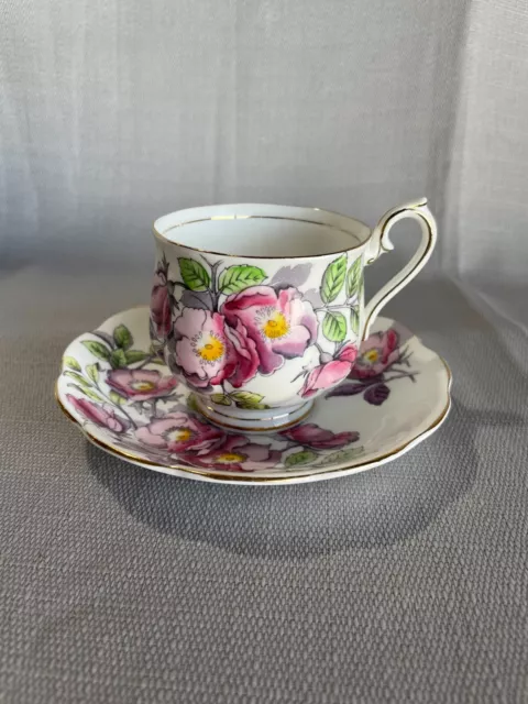Royal Albert Bone China “Dog Rose” No. 6 Flower of the Month June Cup and Saucer