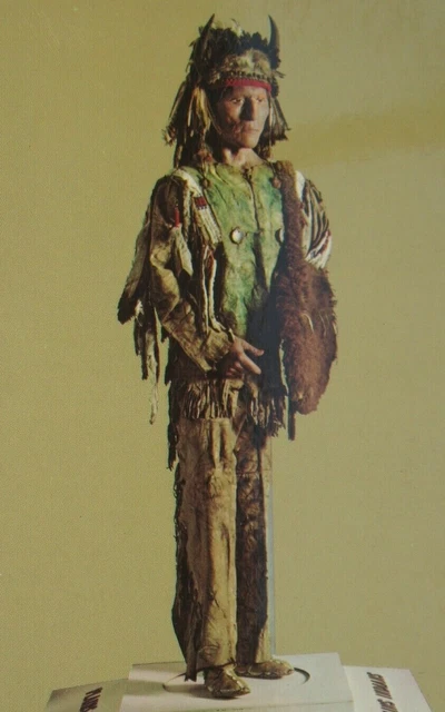 Chief Iron Bull Dakota SIOUX Plains Indian Yale Peabody Museum CT Postcard CT
