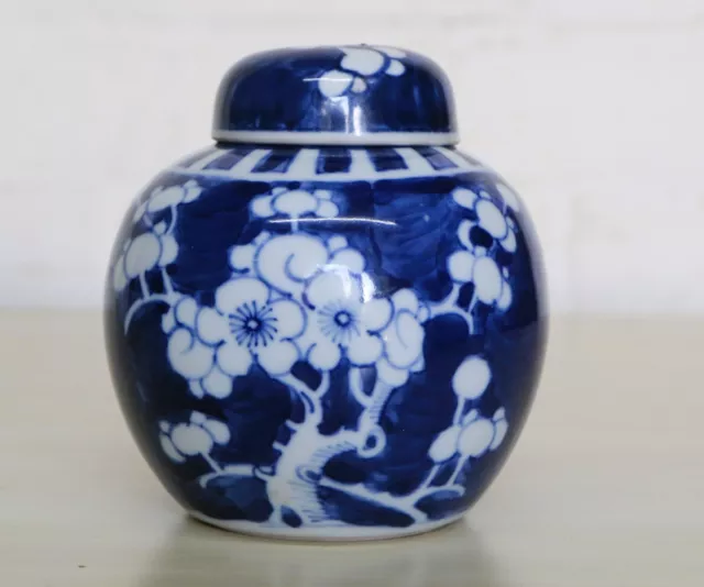 Chinese Porcelain Prunus Ginger Jar Kangxi double ring mark 12 Cm Blue & White