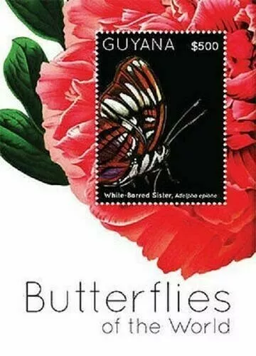 066. Guyana 2012 Tampon M/S Papillons De Monde. MNH