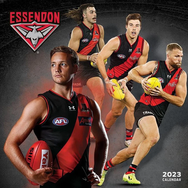 ESSENDON BOMBERS 12 Month Square Wall Calendar 2024 Official AFL Team ...