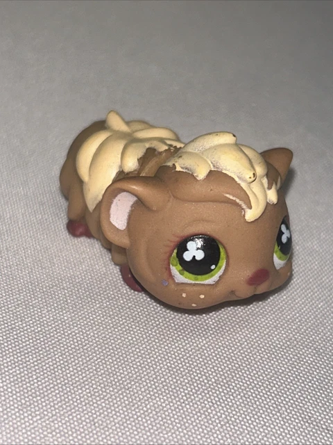 Figurine Littlest Pet Shop Hasbro, Cochon D'Inde N°683 - Occasion, Univers Pet Shop