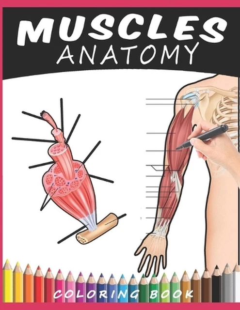MUSCLES ANATOMY COLORING Book: A Human Muscular System Anatomy and