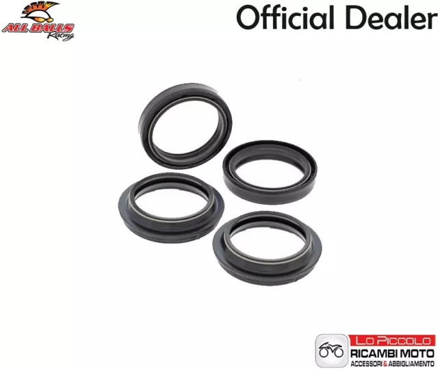 KIT PARAOLI E PARAPOLVERE FORCELLA ALL BALLS Kawasaki Z750 (EURO) 2004-2006