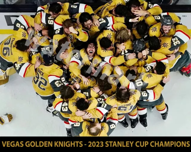 Framed Vegas Golden Knights 2022-2023 Stanley Cup Champions 12x15 Photo  Collage - Hall of Fame Sports Memorabilia