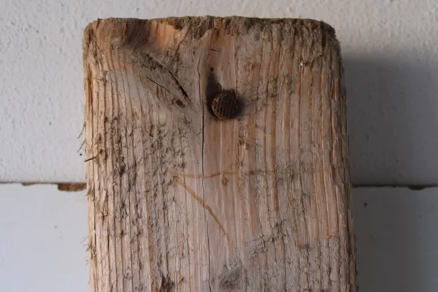 Treibholz Schwemmholz Driftwood  1 MEGA Balken Kantholz Regal Dekoration 161 cm 3
