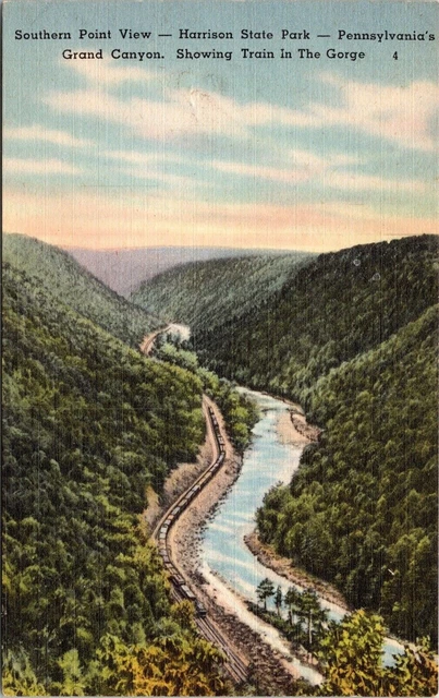 Southern Point View Harrison State Park Pennsylvania PA Grand Canyon Postcard