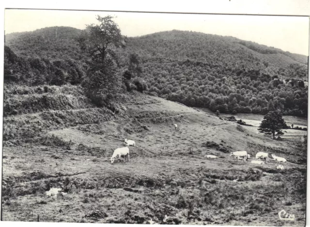 Le Mont Beuvray   .....    (G9366)
