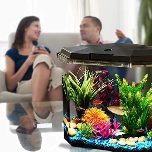 Koller Products 6.5-Gallon Aquarium Kit with Power Filter and LED Lighting, (... 2
