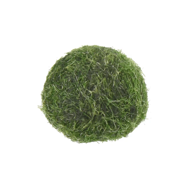 5-20Pcs Marimo Moss Ball Cladophora Live Aquarium Plant Fish Aquarium Decorate