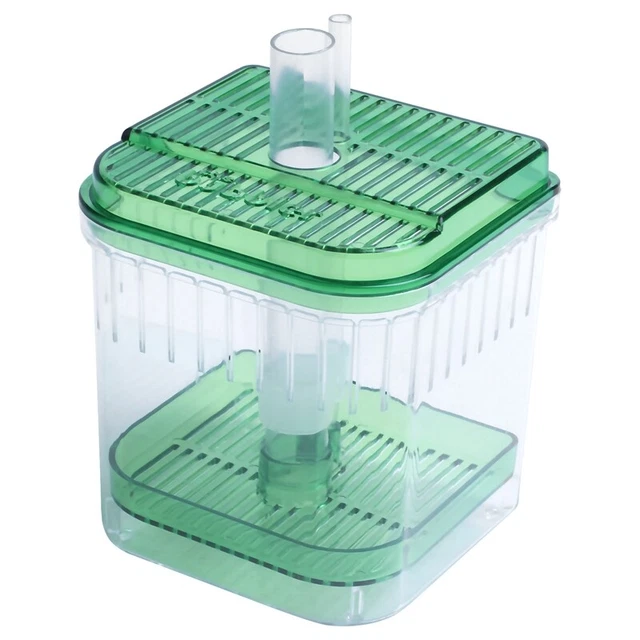 Scatola inferiore acquario quadrato in plastica verde trasparente H2J1