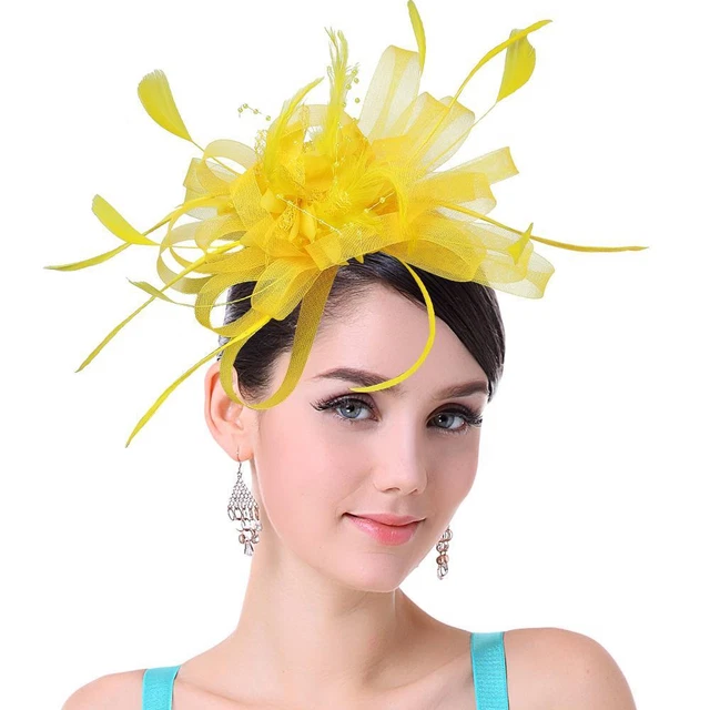 Women Ladies Fascinator Headband with a Clip，reversible Feather Kentucky Derby C