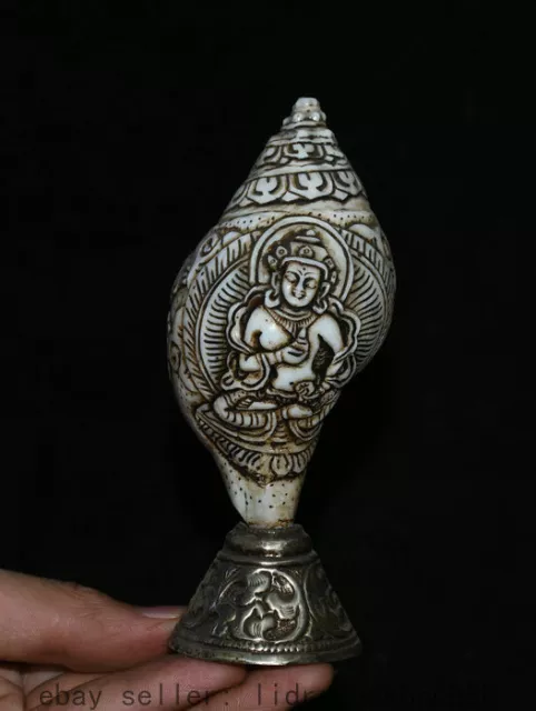 13CM Tibet Argent Amitayus Longévité Dieu Déesse Conque Coquille Corne