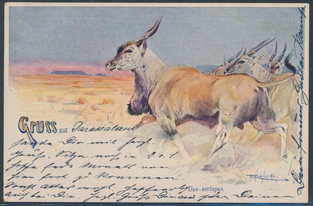 DOA Krone EF Litho-AK Gruss aus..1900 Dar-Es-Salam nach Krefeld Attest (S21590b)