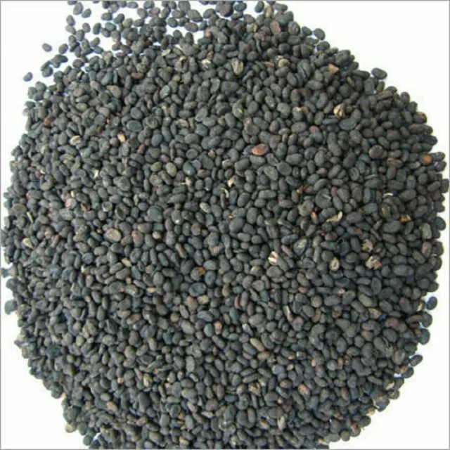 Extract of Babchi Psoralea Corylifolia   100gm powder