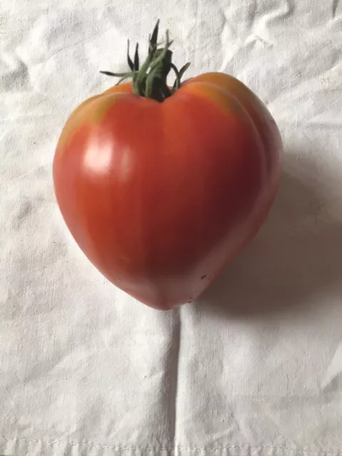 20 Graines De Tomates Coeur De Boeuf (bio)