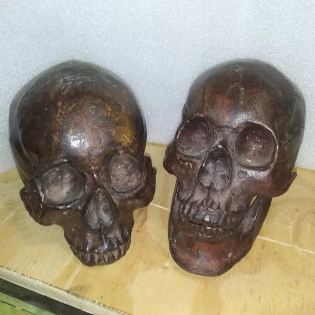 Condemned Building's Basement Hoard: Cast Bronze Or Brass Human Skulls Study