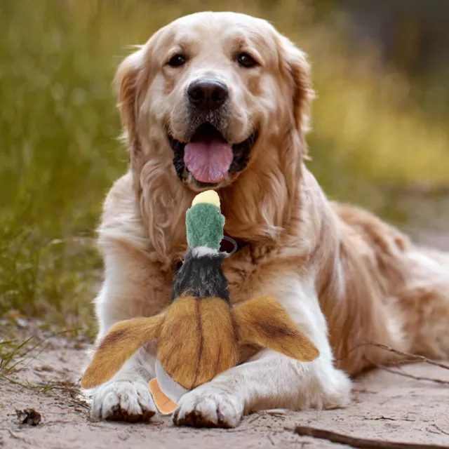 Dog Toys Large Dogs Squeaky Pheasant Plush Puppy Child