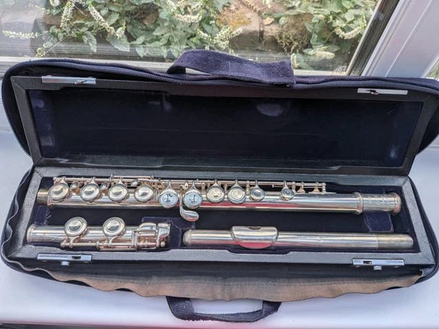 TREVOR JAMES TJ10X Flute in Zipped Padded Case £75.00 - PicClick UK