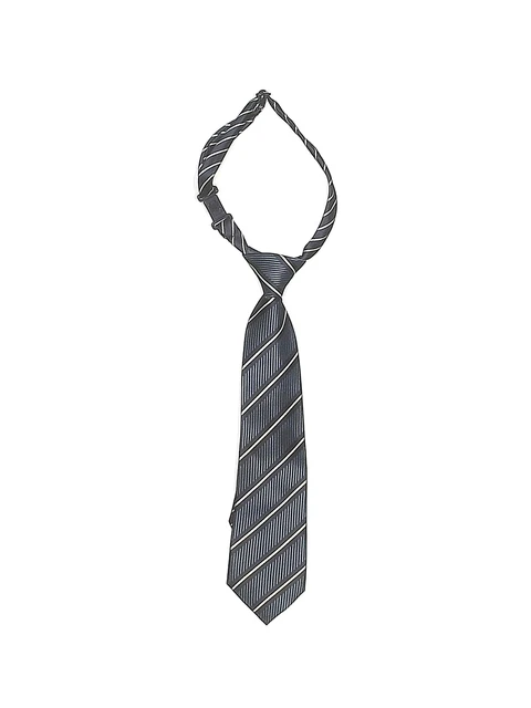 The Children's Place Boys Blue Necktie 24 Months