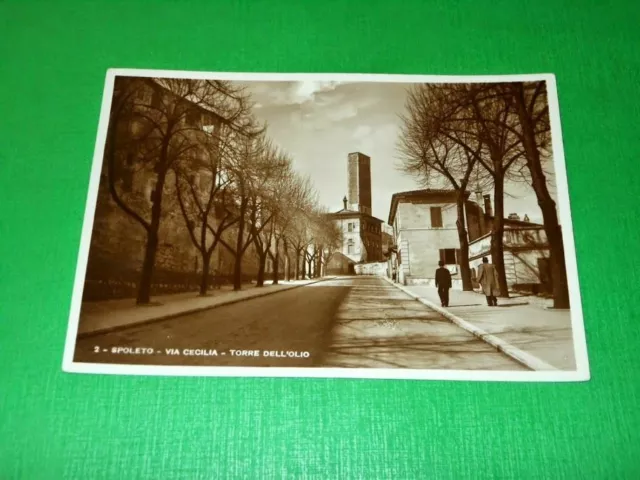 Cartolina Spoleto - Via Cecilia - Torre dell' Olio 1941