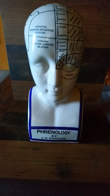 Phrenologie Kopf Schädel Deko Büste