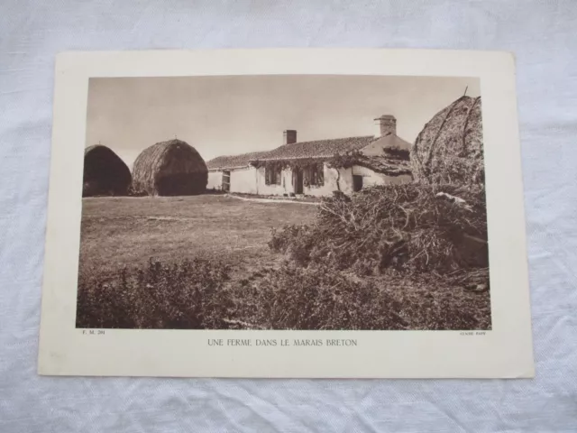 Ancienne Planche Cartonnee +- 1930 Ferme Dans Le Marais Breton