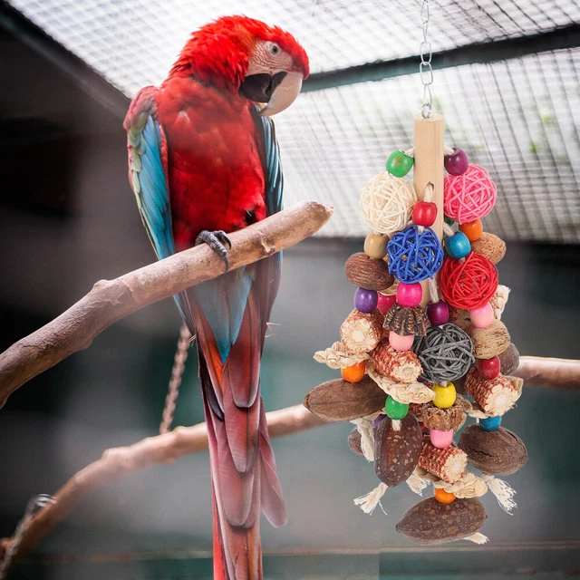 2x Tragen Beständig Bequem Vogel Biss Spielzeug Holz Vogel Spielzeug Für Sittich 10