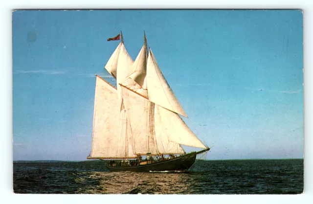 Bluenose II Replica of World Famous Schooner Postcard UNP Sailing Postcard