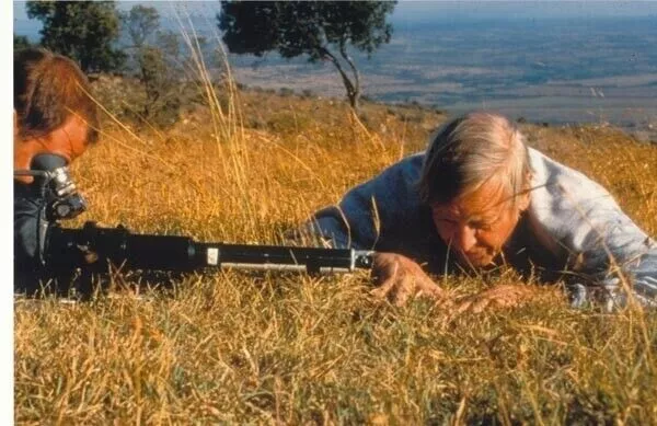 David Attenborough Unsigned 6" x 4" Photo - Naturalist and author *214
