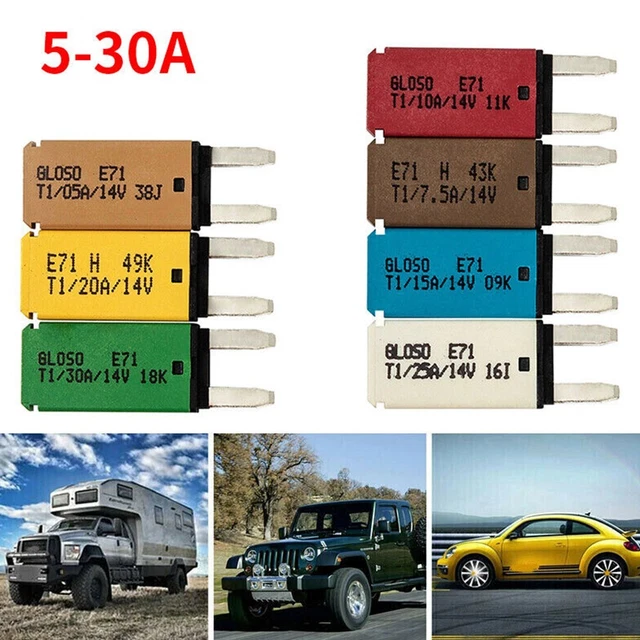 Heschen Lot De 50 Mini Fusibles à Lame ATM-35 Pour Voiture SUV Camion 35 A Violet