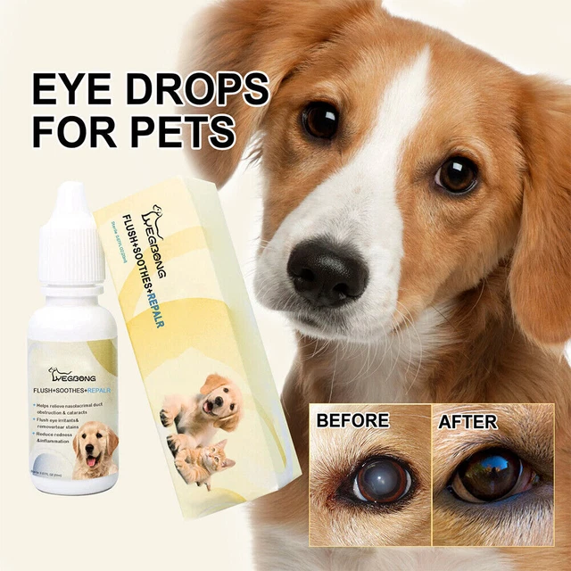 PET DOG CAT Eye Drops For Conjunctivitis Caused By Allergies Or Foreign