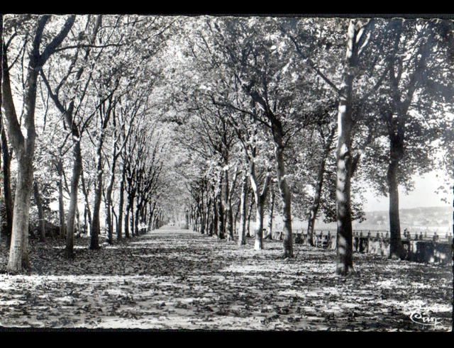 DECIZE (58) PROMENADE des HALLES , Bords de LOIRE période 1950