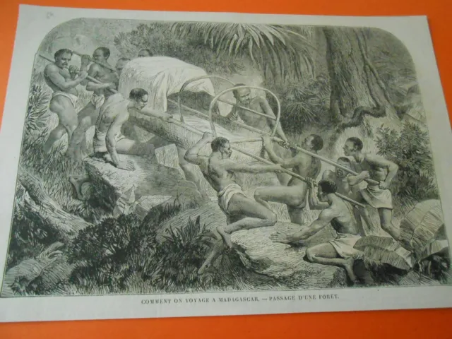 Gravure 1864 - Comment on voyage à Madagascar Passage d'une forêt