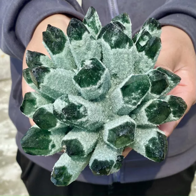 3.1LB  New Find Green Phantom Quartz Crystal Cluster Mineral Specimen Healing
