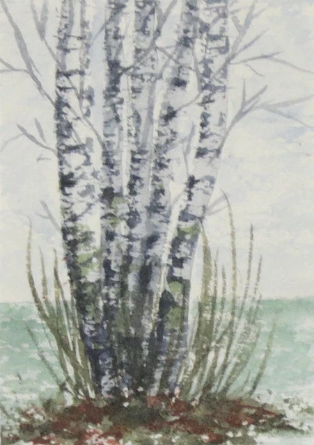 ACEO  Original Watercolors "Birch Trees 3"    by Janet Hufnagle  ATC Miniature