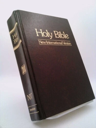 THE HOLY BIBLE NEW INTERNATIONAL VERSION ZONDERVAN 2011 PDF visual data 7
