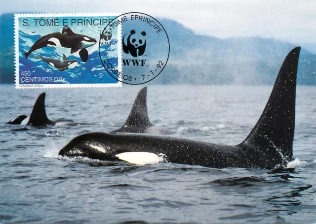 E0008 WWF Maximum Card 1992 Fauna Marine Life Sao Tome & Principe Killer Whale